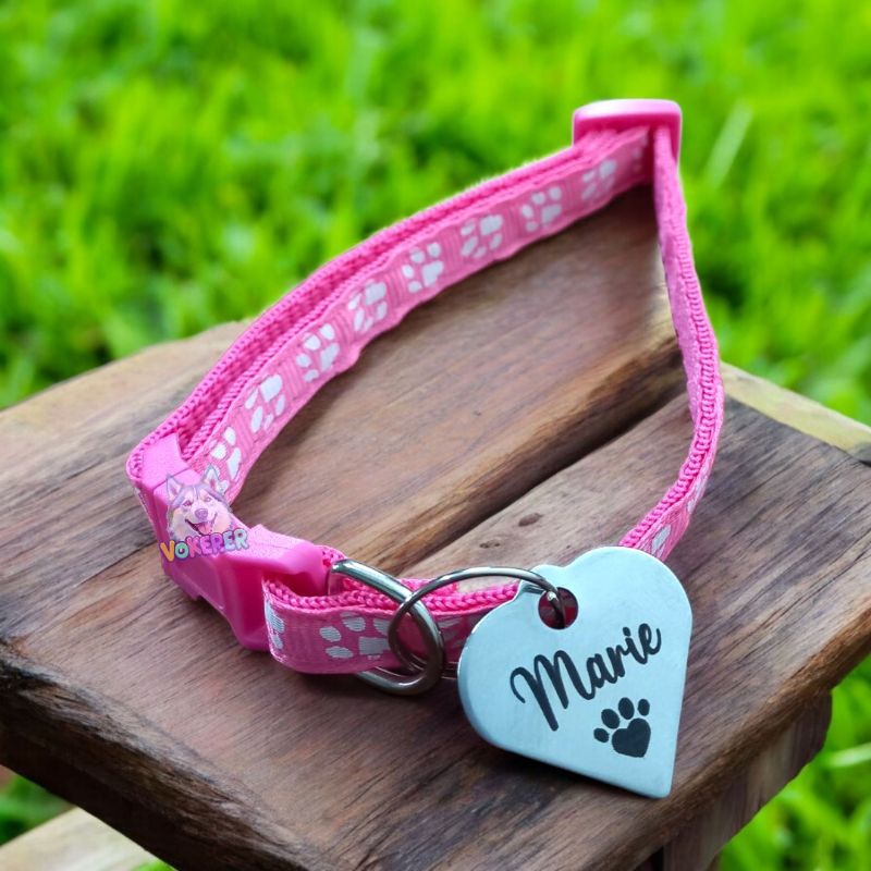 Coleira com Nome Cachorro Gato Personalizada Coleira para Gato Plaquinha (Gravamos)