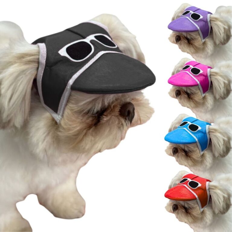 Boné para Cachoro Chapéu Pet Cães com Óculos
