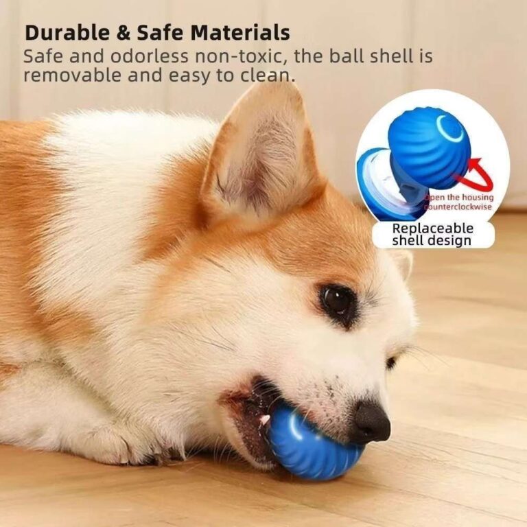 Bola Brinquedo Bolinha Para Gato Cachorro Auto Mag