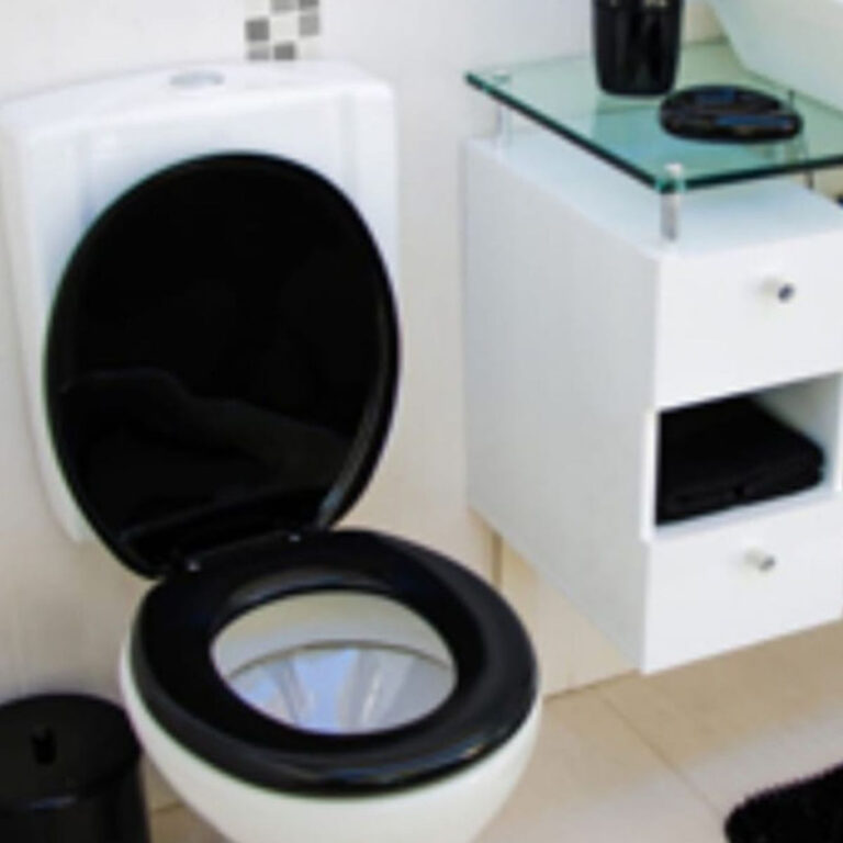 ASSENTO SANITARIO – IN BRASIL