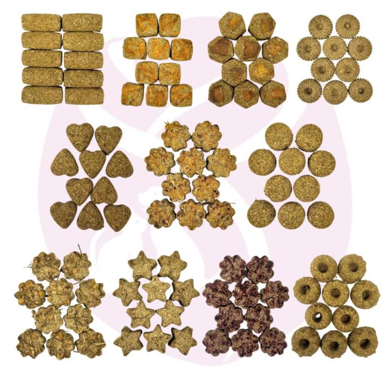 Biscoitos De Feno Saborizado Para Roedores (Coelho