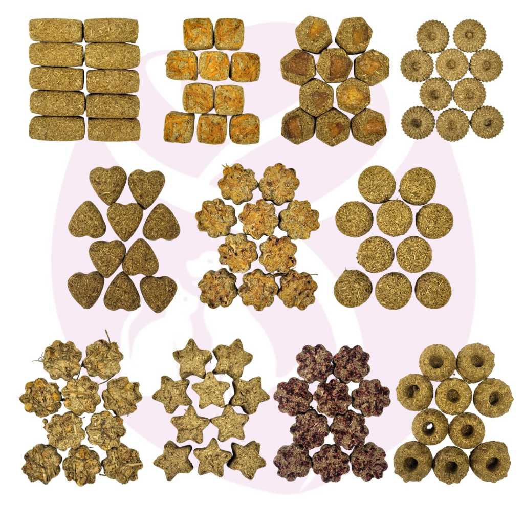 Biscoitos De Feno Saborizado Para Roedores (Coelhos, Chinchilas, Porquinho da Índia) 10 Unidades