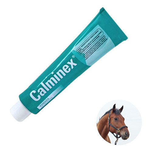 Calminex Pomada 100g Dores E Pancadas