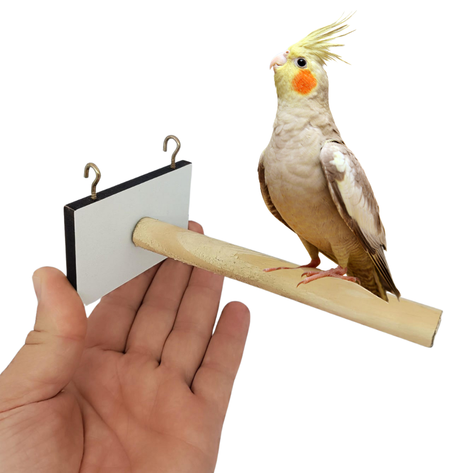 Poleiro para Gaiola e Viveiro  Ideal para Calopsitas, Periquitos, Agapornis e Passarinhos