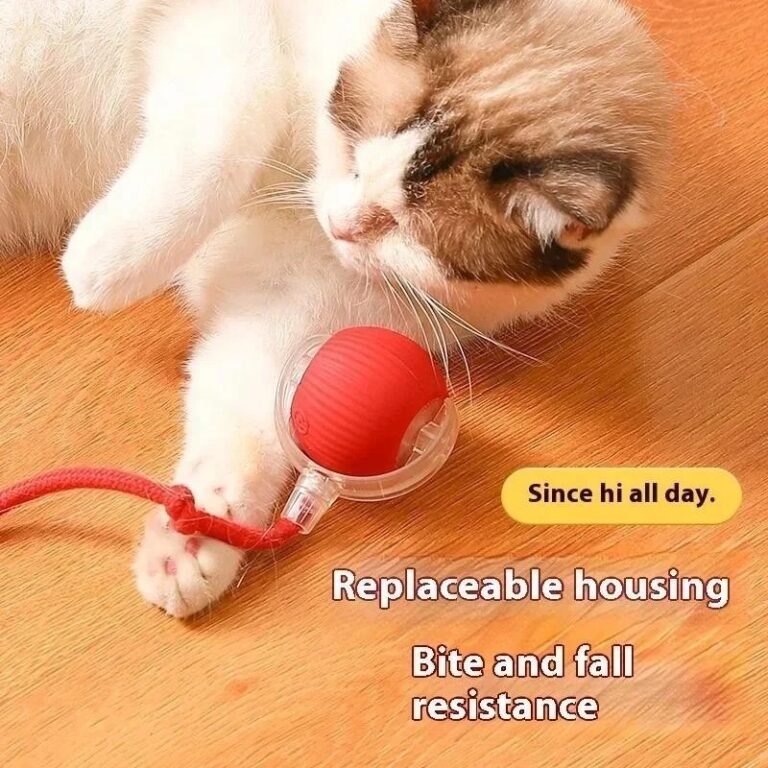 Inteligentes Brinquedos Para Gatos Bola De Rolamen