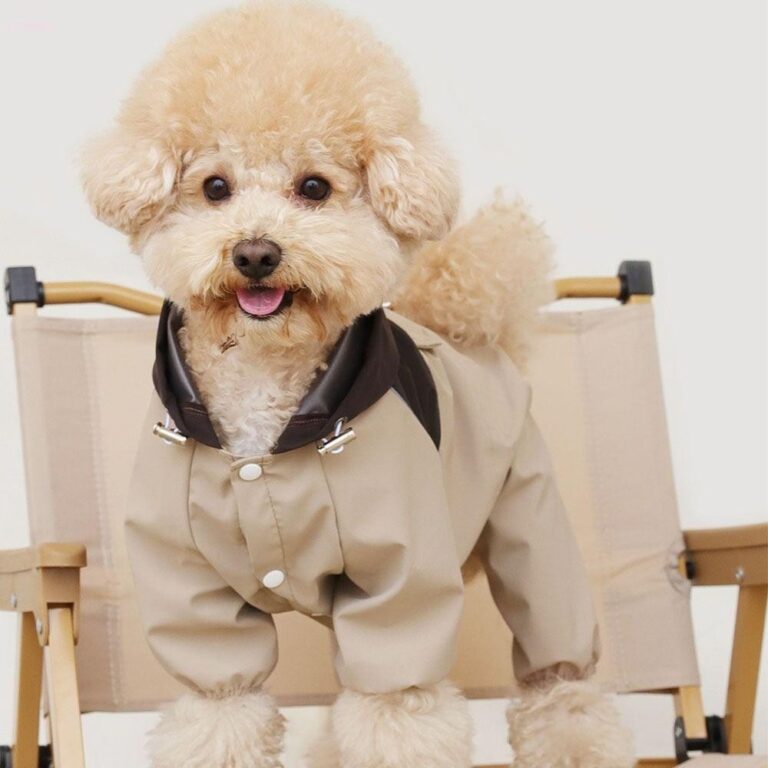 Capa De Chuva Para Cães ADAMES , Roupas Reflexiva