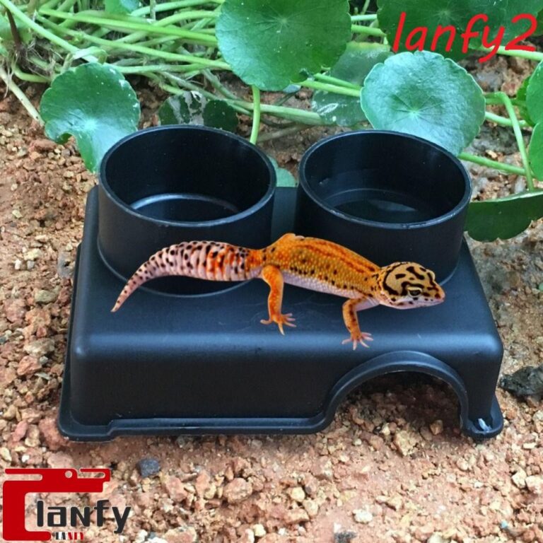 LANFY Réptil Esconder Caixa , Casa De Plástico P