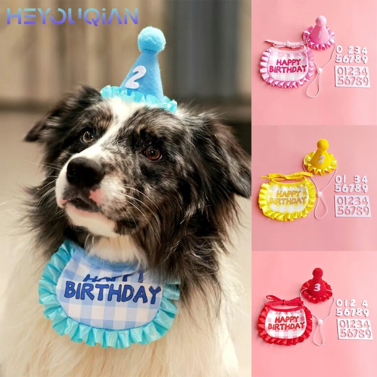 Heyuoqian Pet Cat Traje De Aniversário Chapéu De