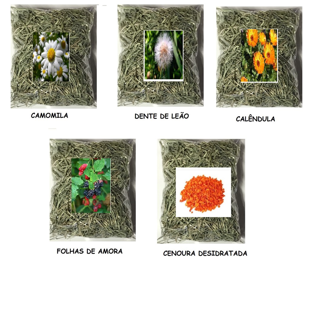 Kit 05 Feno Saborizados Verão 100G NUTRIPANSPETS