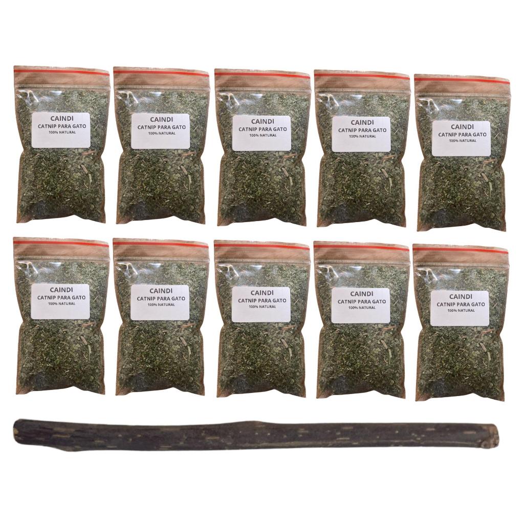 Catnip Premium Caindi e Matatabi Orgânico Natural Alta Eficácia Rende Muito