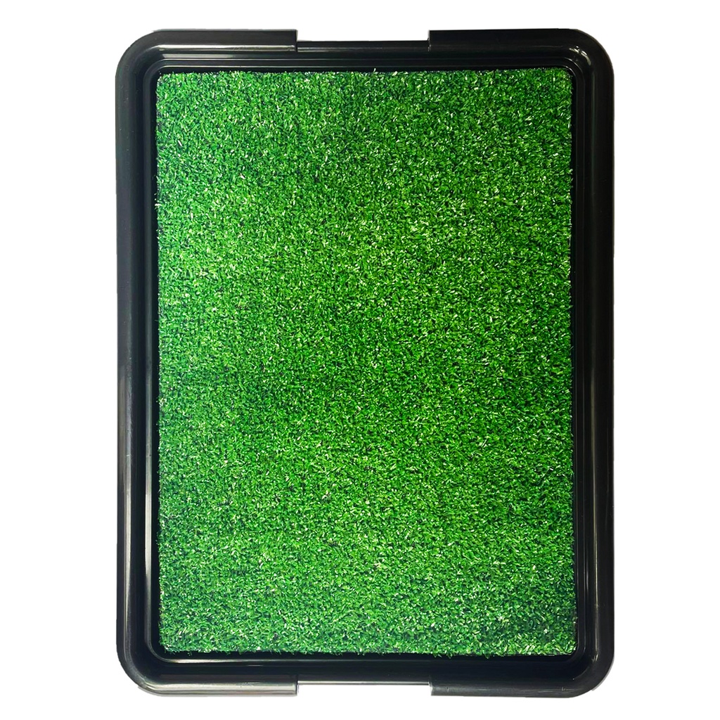 Sanitário Canino Banheiro Grande Para Cães Com Tapete Grama Sintética Premium