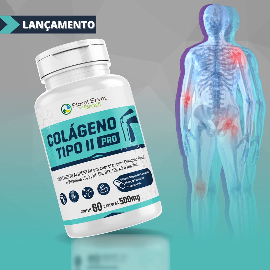 Colágeno Tipo 2 II 500mg 2 Meses de uso + Vitaminas C e B6 b1 B12 D3 K2 e Niacina – Articulções