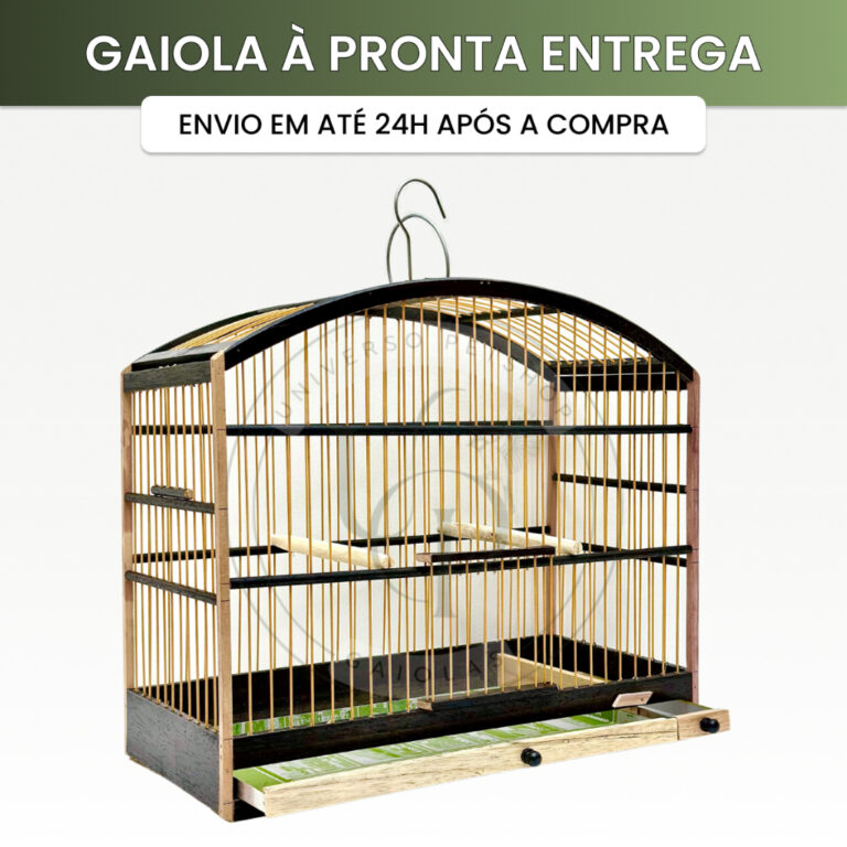 Gaiola De Passeio 37cm Simples Para Pássaros Pequ