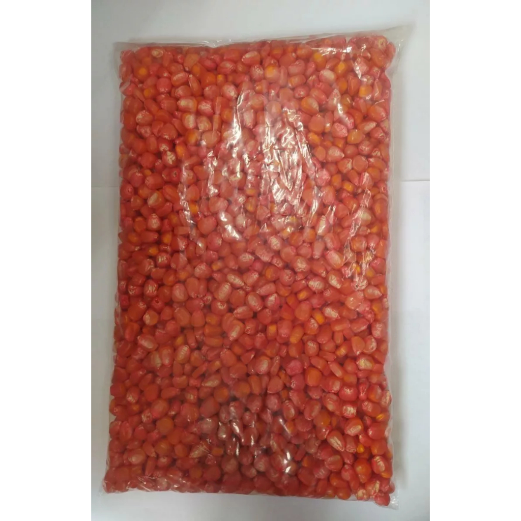 Semente Milho de Planta 1kg Resistente a Pragas