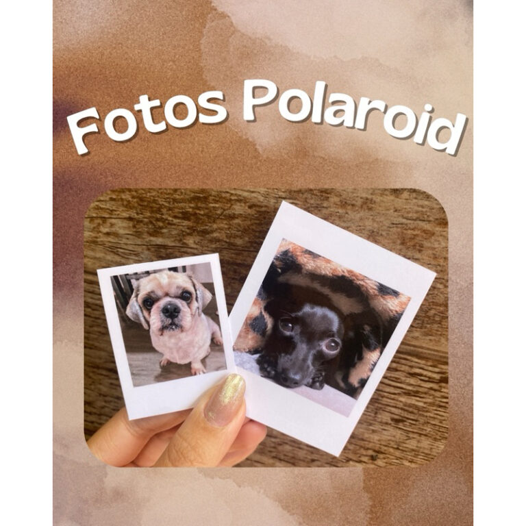 Foto Polaroid mini – para capinha de celular