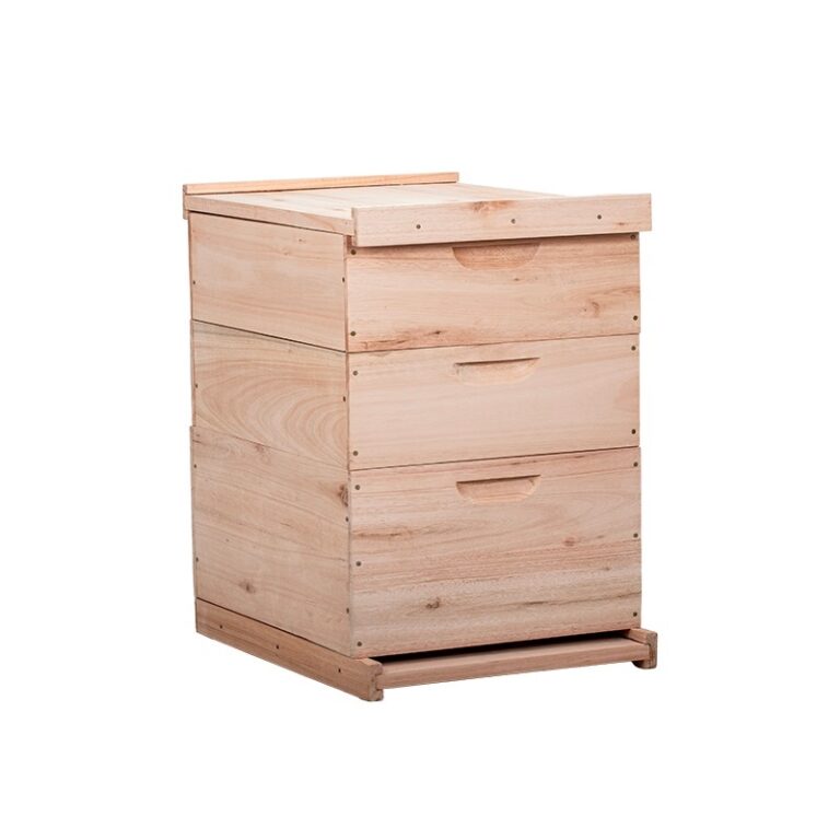 Caixa Abelhas Langstroth Eucalipto 2 melgueiras se