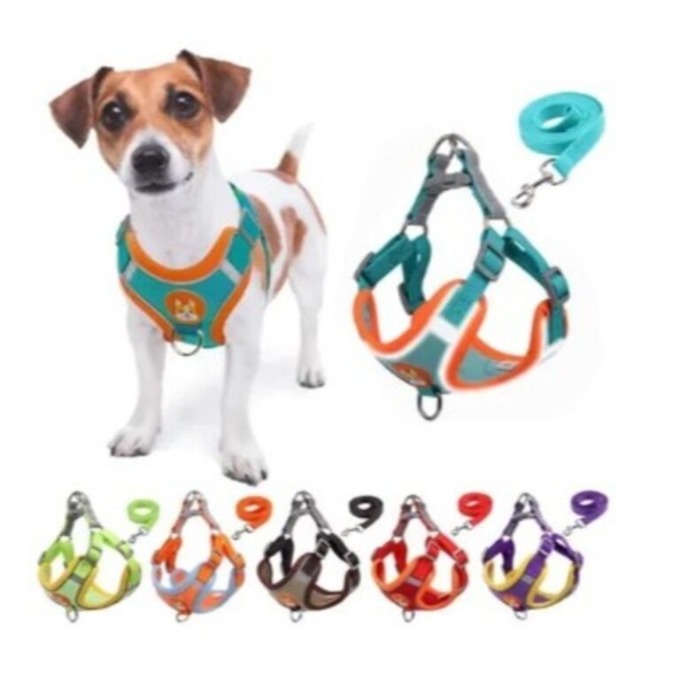 Coleira De Peitoral Cachorro Com Guia Para Cães D