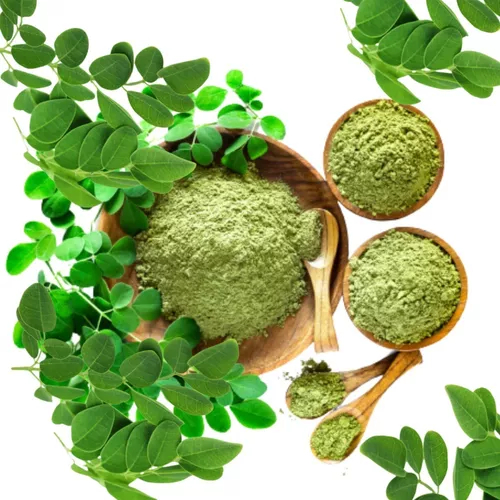 Chá de Moringa em Pó 100% Puro 500g 1Kg Oleifera