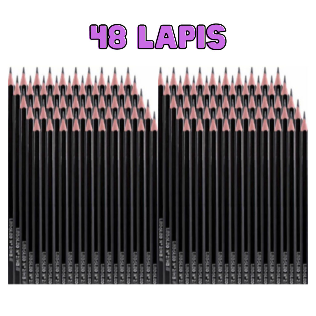 Kit 48 Lapis de Escrever Grafite HB N2  Preto-Leo Leo