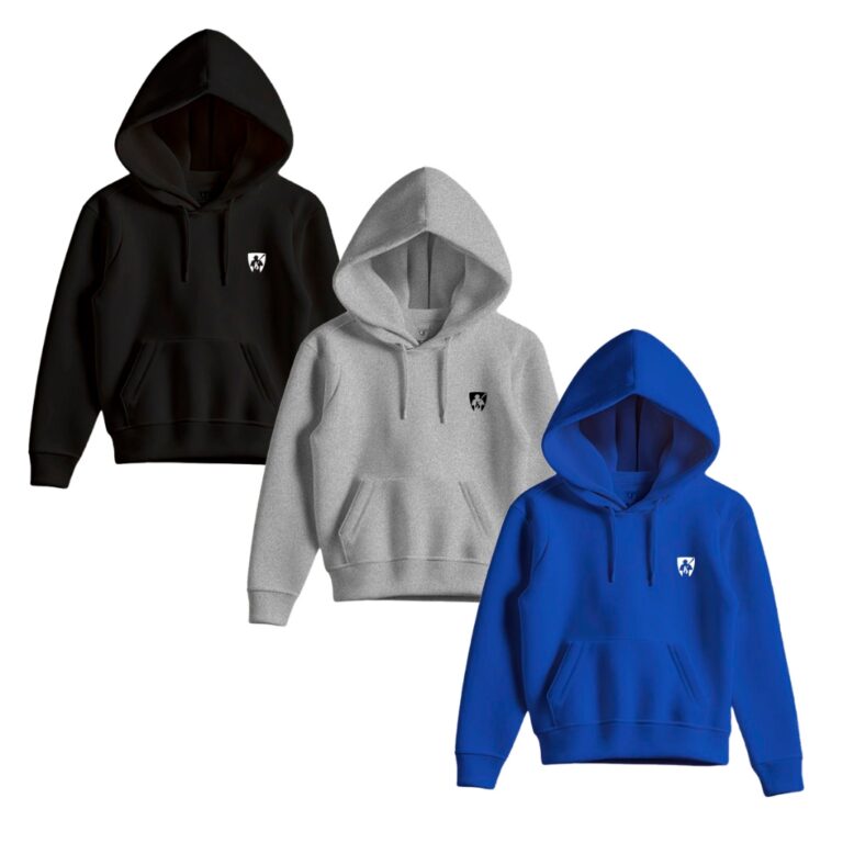 Kit 3 Moletom Infantil Canguru Com Capuz Diversas 