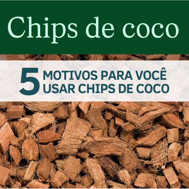Chip de Coco Orquídeas Flores Plantas Drenagem 1,