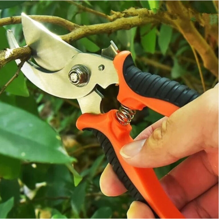 Tesoura de Poda Tesoura Super Afiada para Jardinag