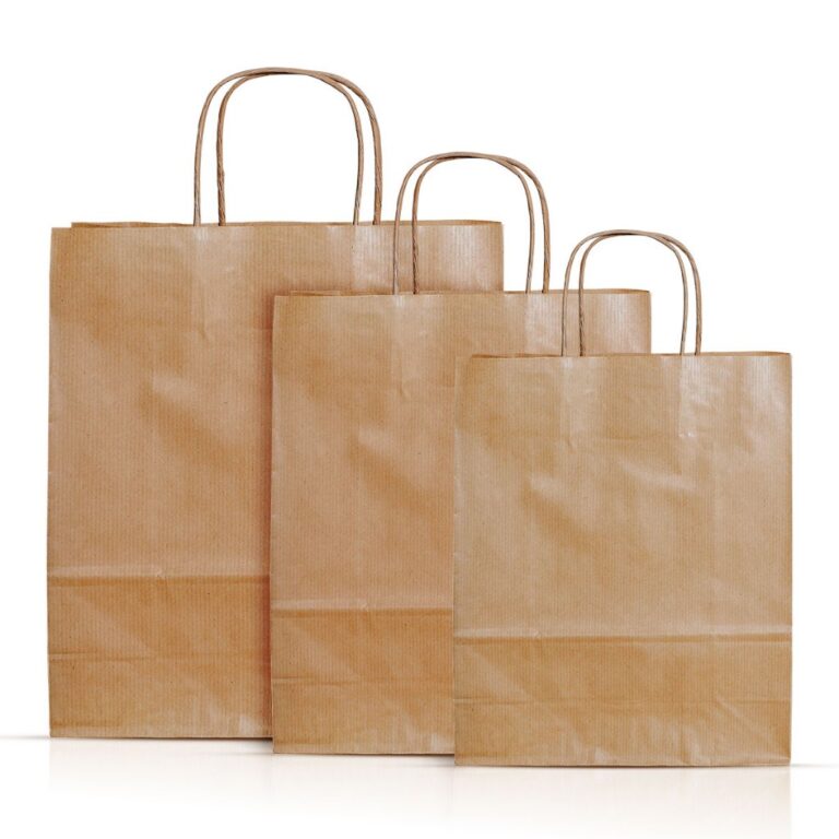 Sacola Papel Kraft Alça PP, P, M e G 50und lembra