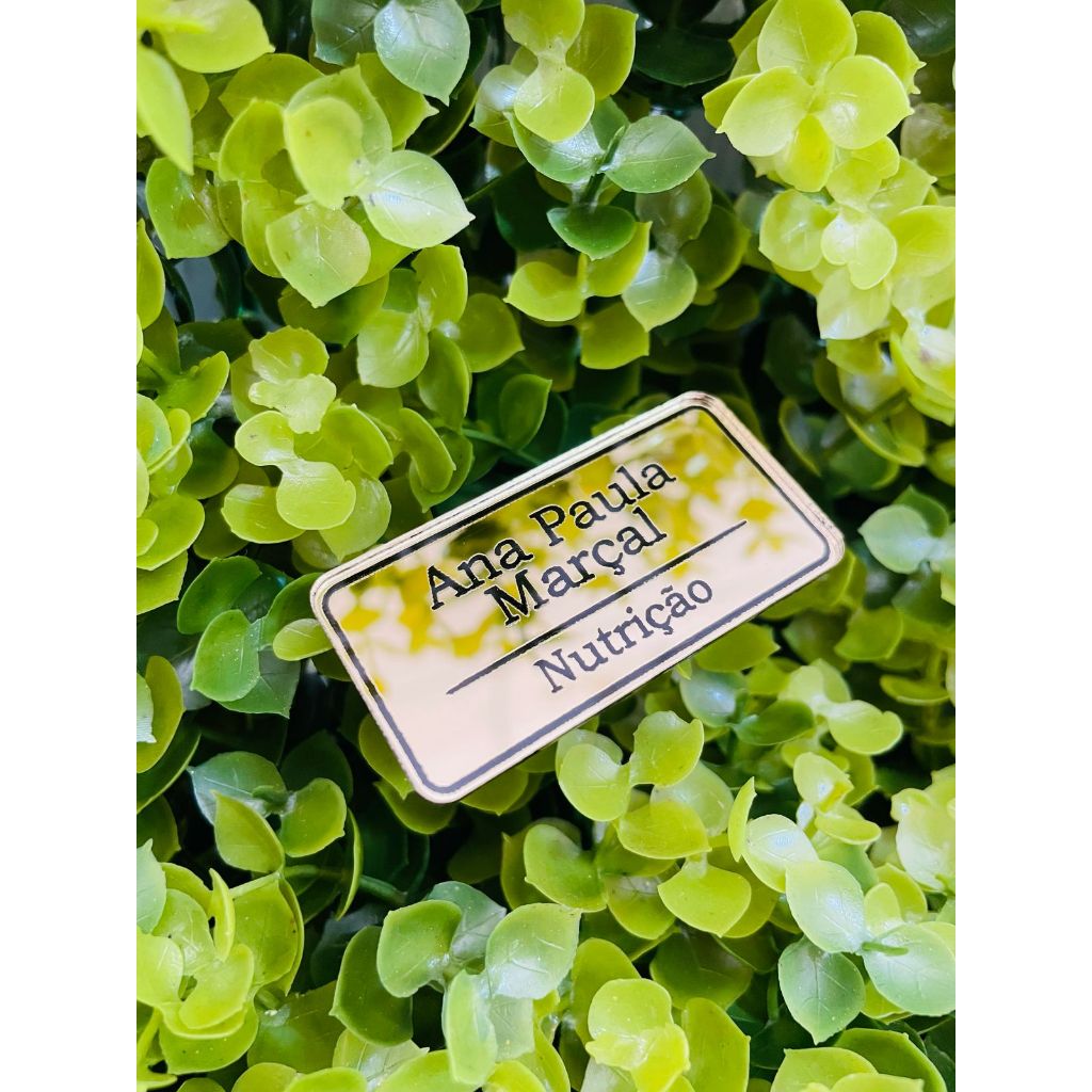 Botton personalizado acrilico crachá broche profissões