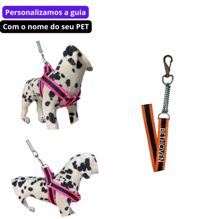 Coleira pra cachorro guia personalizada pequeno m�