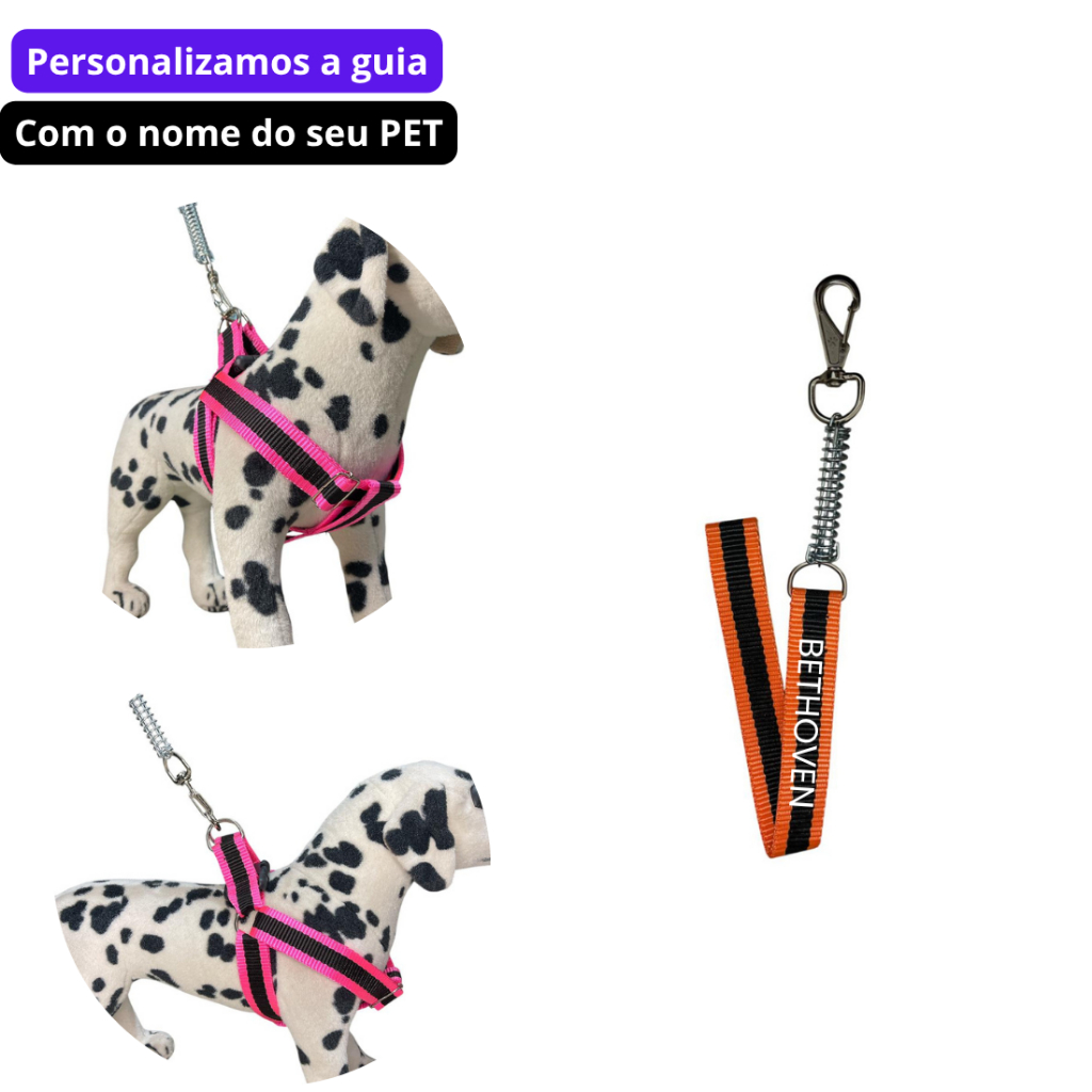 Coleira pra cachorro guia personalizada pequeno médio e grande forte Boxer Labrador anti puxão