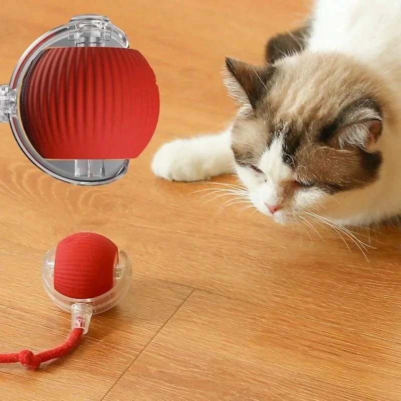 Brinquedos Inteligentes Para Gatos Bola De Rolamento Automática Cauda Recarregável Elétrico