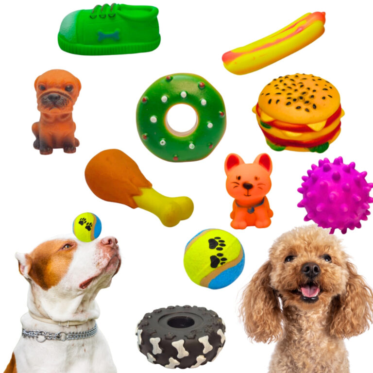 Kit Diversão Pet 10 Brinquedos Para Caes Pequenos