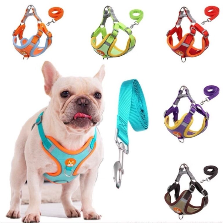 Coleira Peitoral Cachorro E Gato, Conjunto De Guia