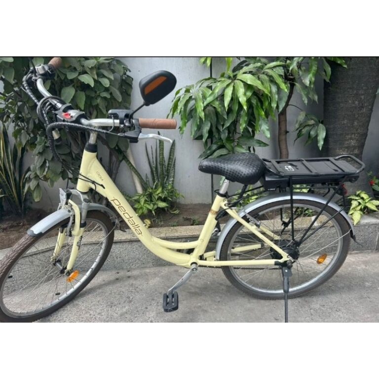 Bicicleta elétrica -Entrego gratuitamente em SP