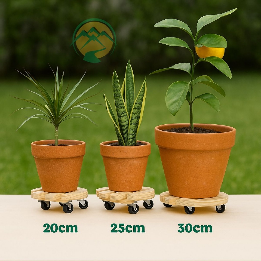 Suporte Para Vaso Carrinho De Plantas Com Rodinha Redondo Madeira Pinus Super Resistente