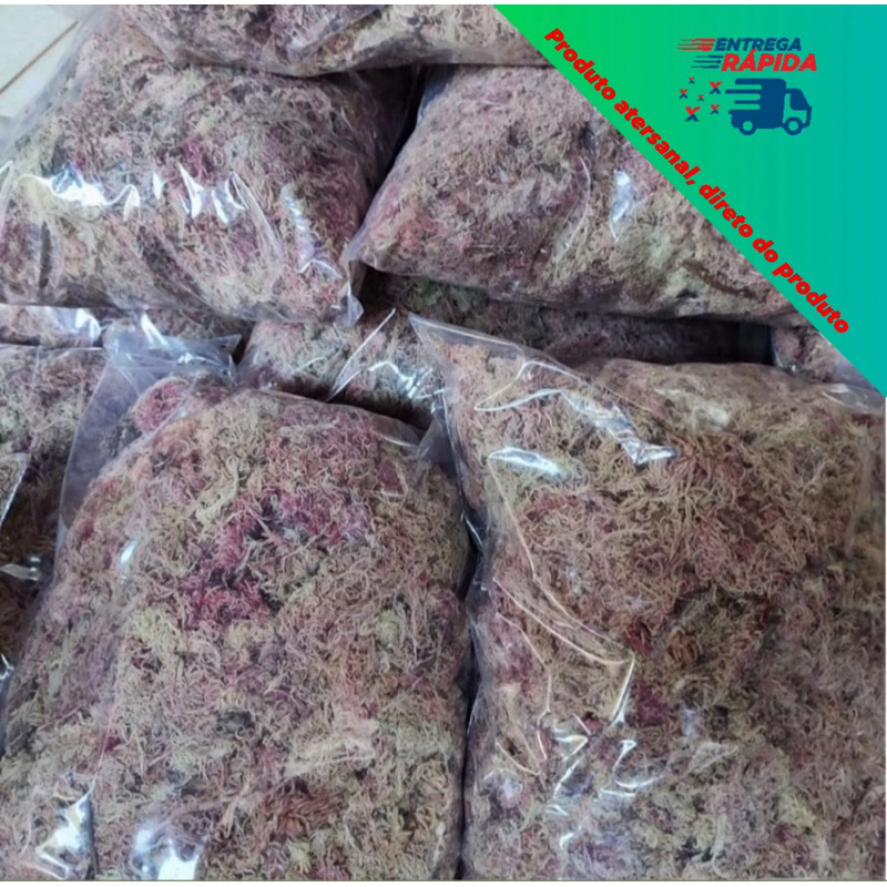 Musgo Esfagno Orgânico Substrato Orquídeas Sphagnum