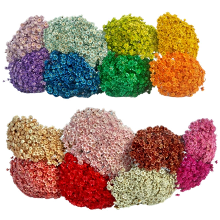 300 Florzinhas Sempre vivas aprox. arranjo buquê 