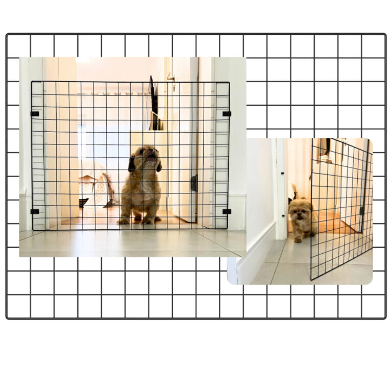 Portão Pet 80×1.00 Tela De Metal Limitador D