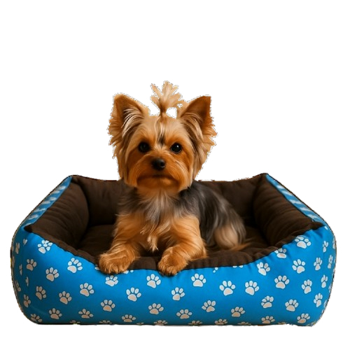 Caminha Para Cachorro Casinha Grande GG Cama Pet C