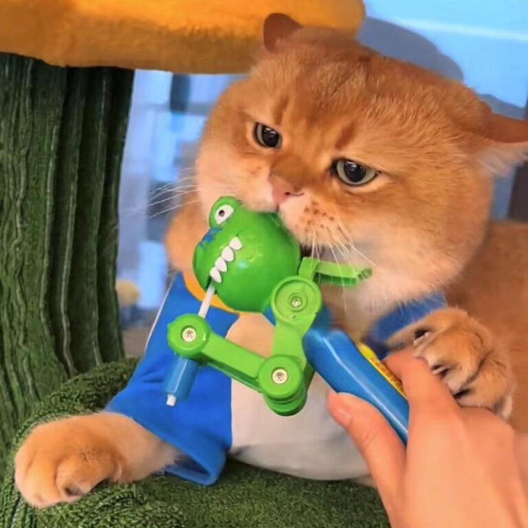 Brinquedo Engraçado de Gato Dinossauro de Boca Gr
