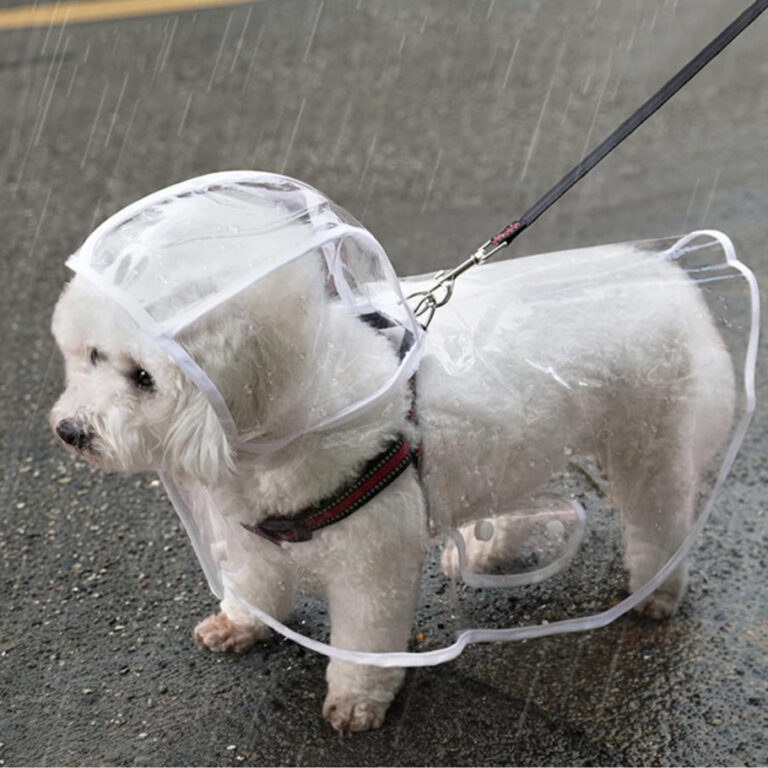 Capa De Chuva Para Cães Transparente Impermeável