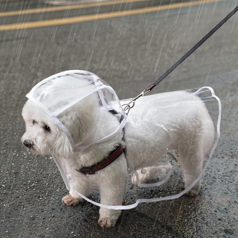 Capa De Chuva Para Cães Transparente Impermeável