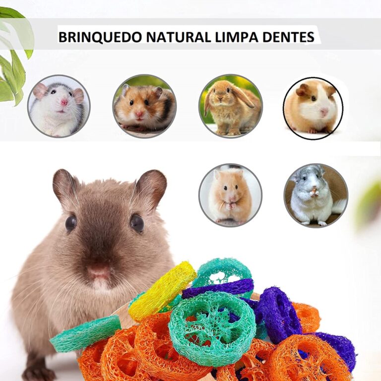 Brinquedo natural para limpeza e desgaste dos dent