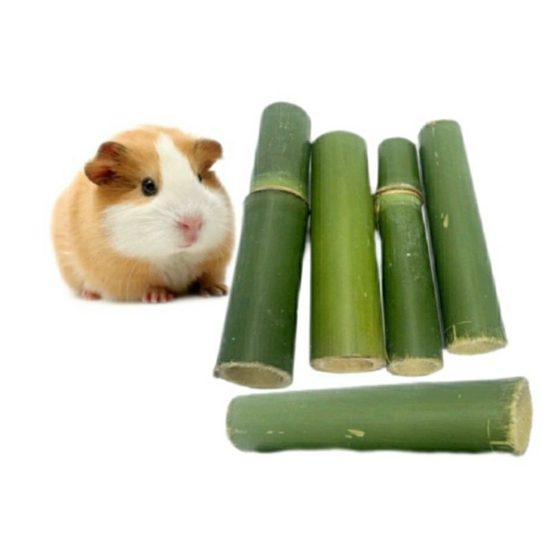 brinquedo Bambú Natural Para Roedores Porquinho Da Índia Hamster coelho 05 unid