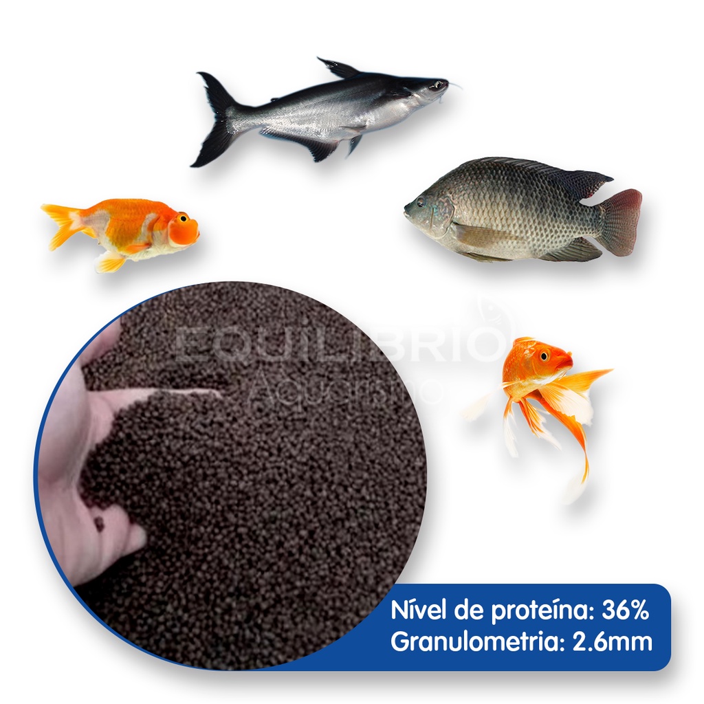 Ração Para Carpas, Kinguios, Tilápias E Outros – 500g