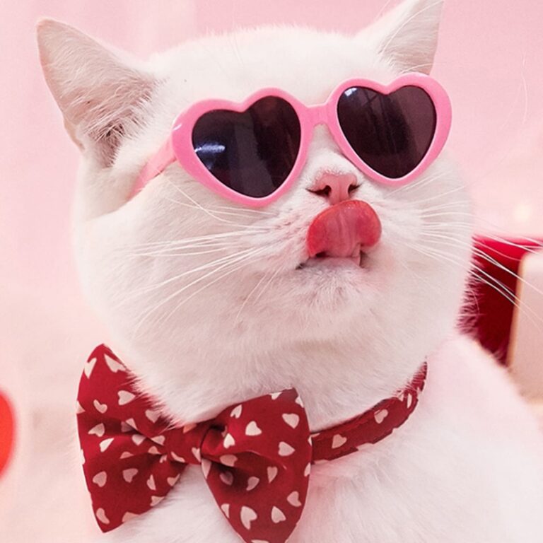 Óculos Para Cães E Gatos De Estimação Tendênc