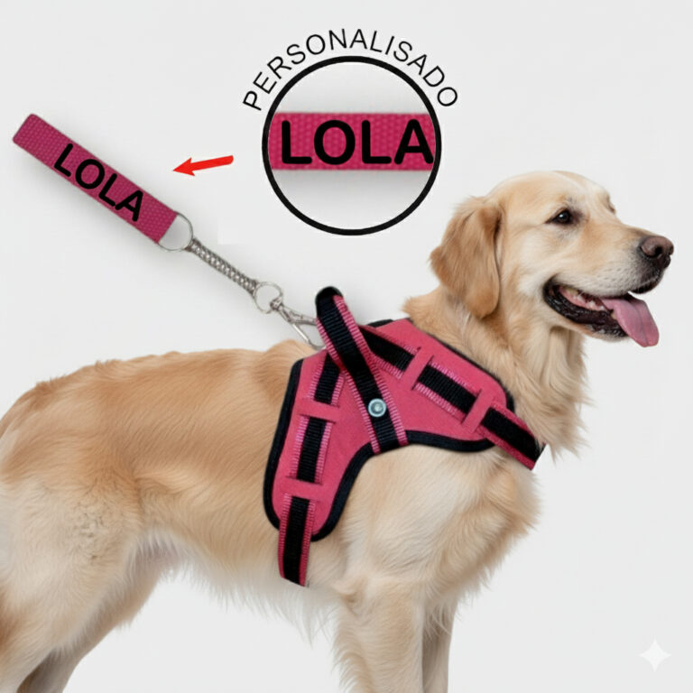 Coleira peitoral para cachorro reforçada com nome