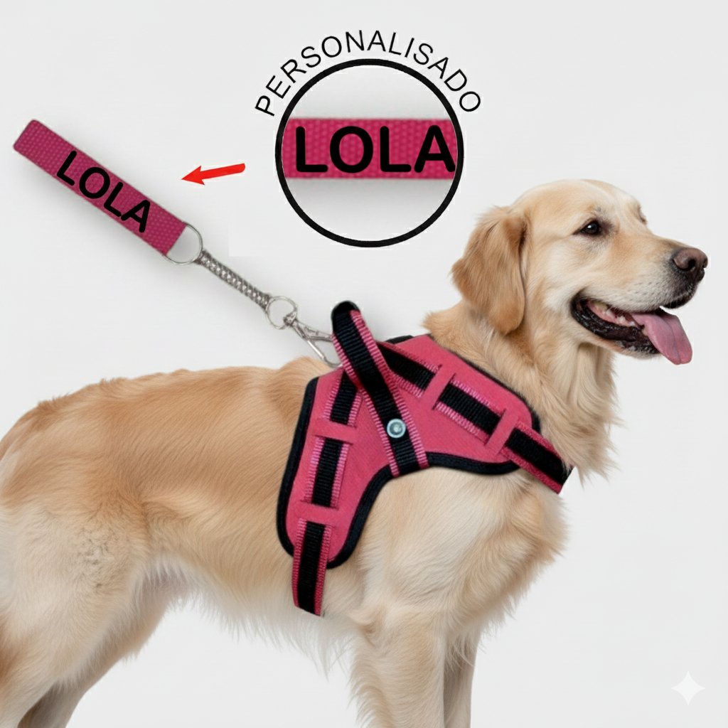 Coleira peitoral para cachorro reforçada com nome na guia cachorro de pequeno mdio e grande porte pa