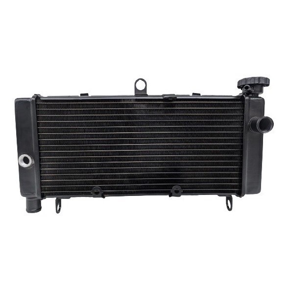 Radiador Honda Cb 600 Hornet 2005 2006 2007