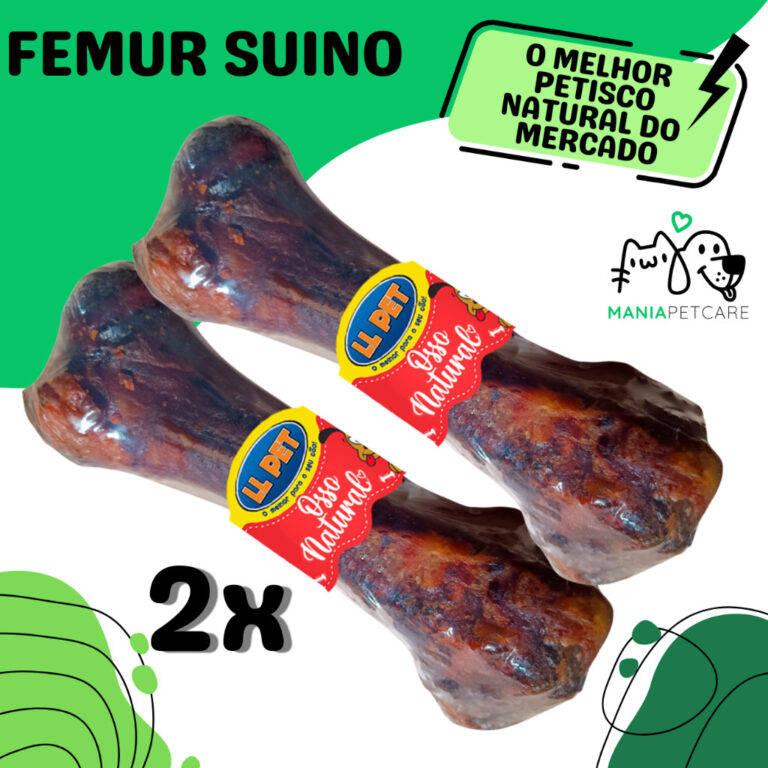 Osso Desidratado Petisco Pet Fêmur Suino 100% Nat